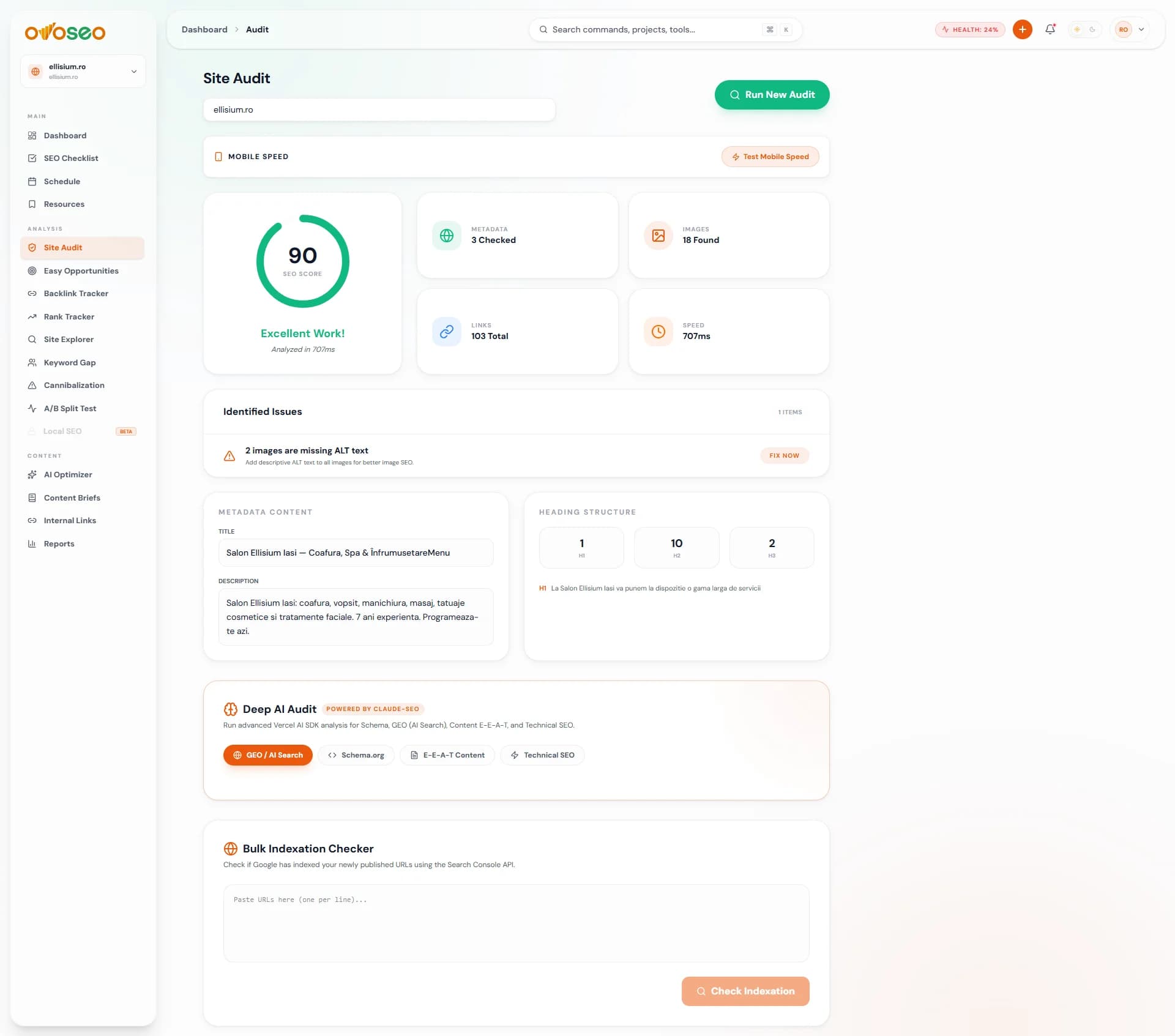 Site Audit & Speed Dashboard